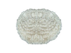 อุปกรณ์เครื่องขัดพื้น,แผ่นผ้าบอนเนต แผ่นบอนเน็ต